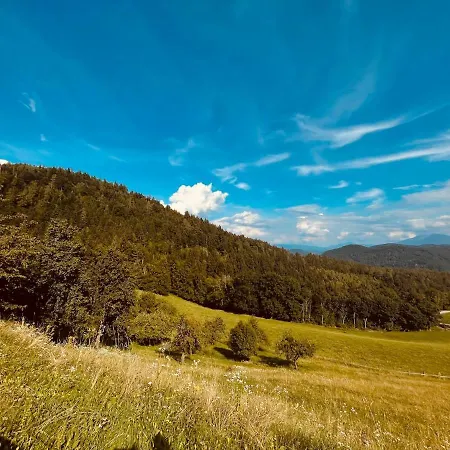 Im Gruenen Appartement *