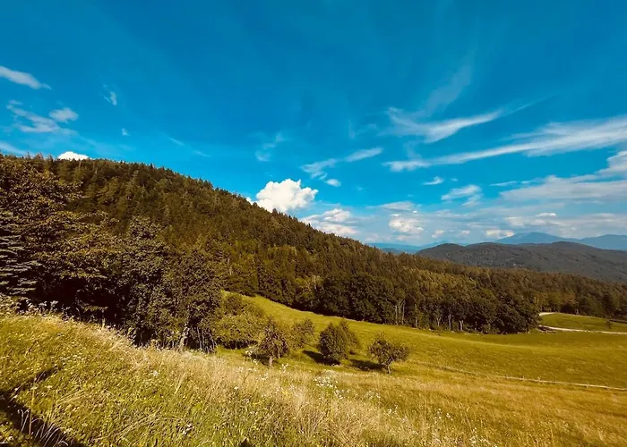 Im Gruenen アパート *